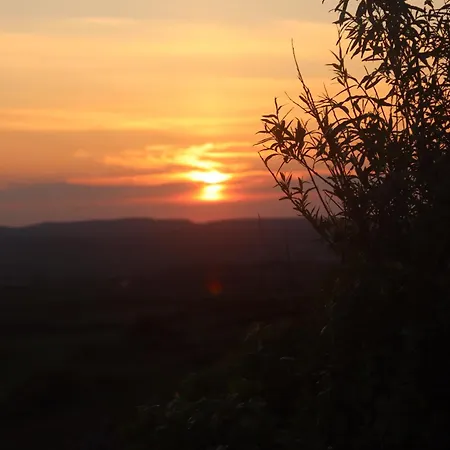 Seaview And Sunsets, Entire Place, Private Entrance, Large Bedroom, Full Kitchen And Bathroom Prázdninový dům